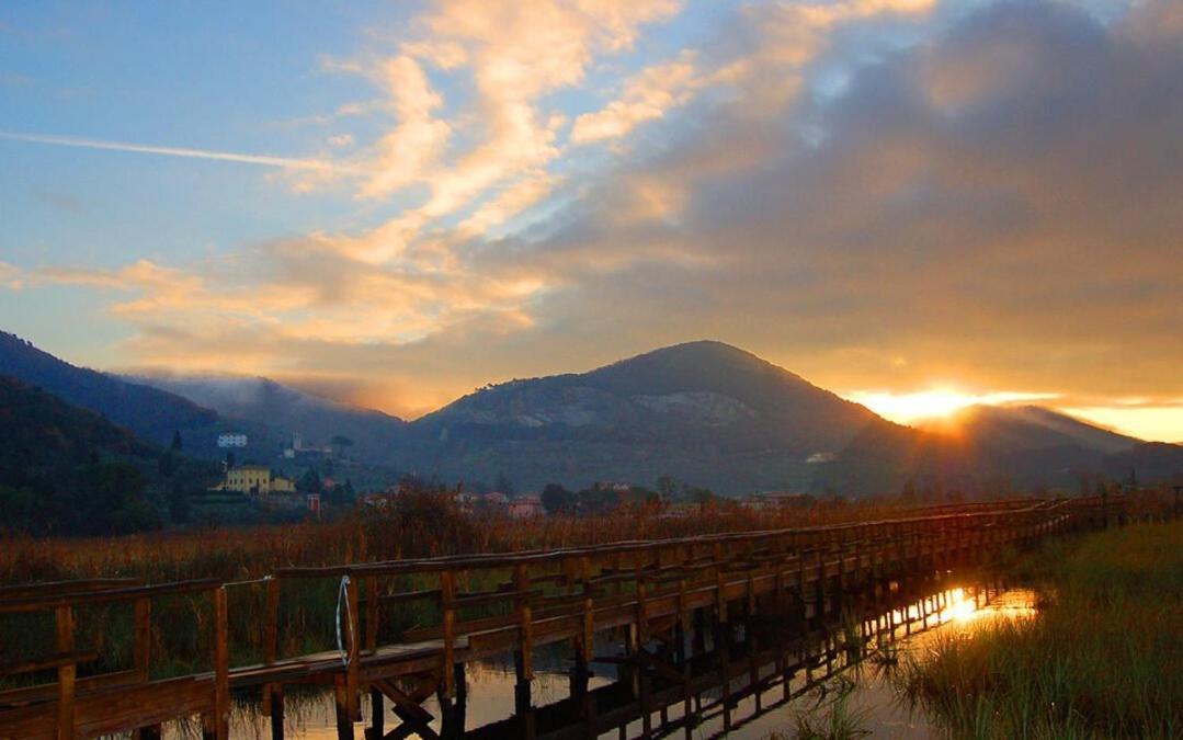 I Levrieri Hotell Torre del Lago Puccini Exteriör bild