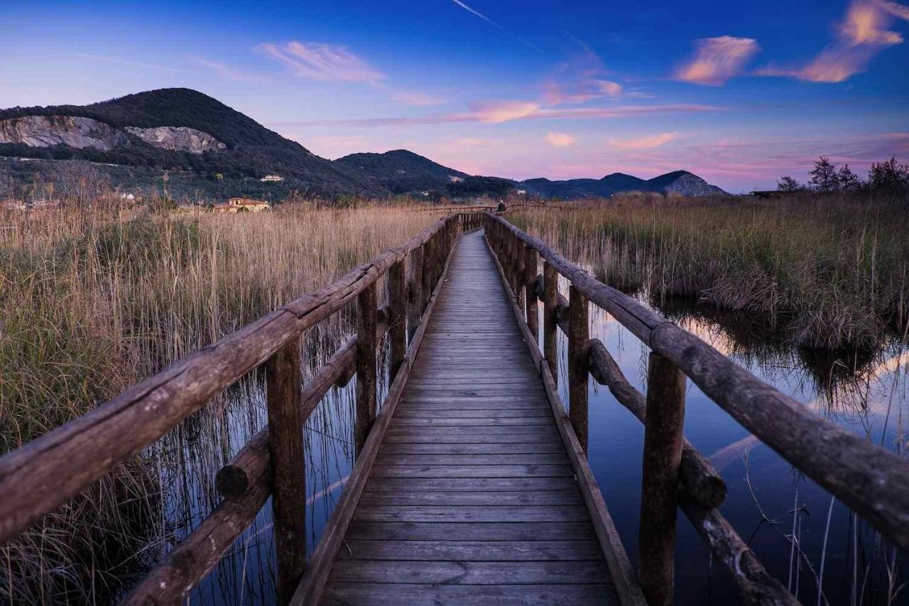 I Levrieri Hotell Torre del Lago Puccini Exteriör bild